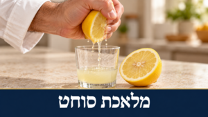 סחיטת לימון ביד לתוך כוס – הלכות סחיטה בשבת